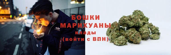 ПСИЛОЦИБИНОВЫЕ ГРИБЫ Бронницы